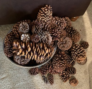 lot 290 image: Bowl of Decorative Pinecones