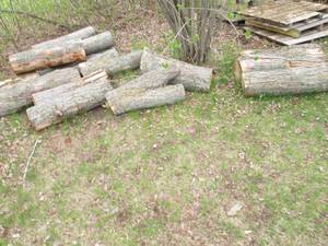 Lot of unsplit firewood logs, just ...