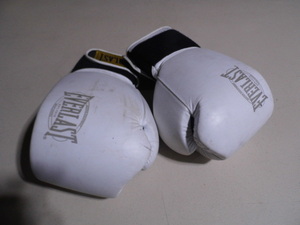 Everlast boxing gloves...