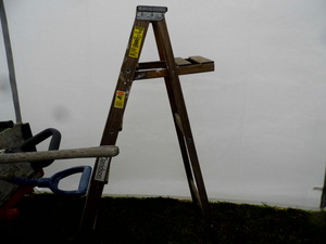 Wooden Step Ladder...