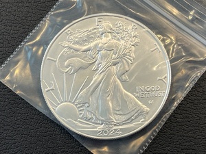 lot 65 image: 2024 Silver Eagle