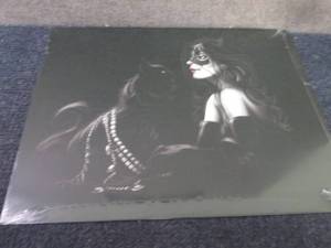 Metal Cat Woman Sign 12.5x16 inch ...