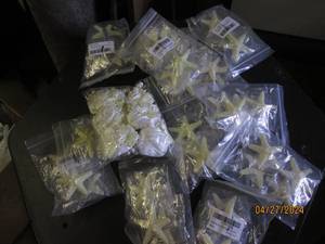 lot of starfish hair clips and more...