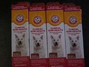 4 packages of arm and hammer clinical gum health beef flavor dog tooth paste