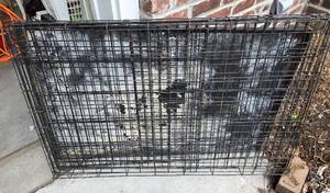 lot 181 image: Extra LargeLarge Dog Kennel
