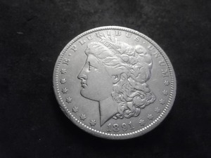 1891 Morgan Silver Dollar