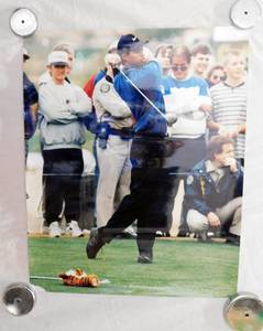 lot 53 image: Tiger Woods Print