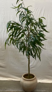 Faux plant
