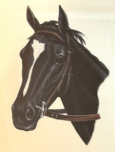lot 139 image: Sunday Silence Framed Print