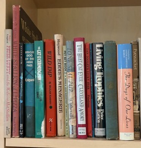 lot 75A image: Books Books Books
