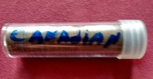lot 49 image: Tube of Canadian Pennies - Nice Mix