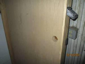 Oak unfinished interior door
