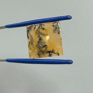 19.41 Carat Dendritic Quartz Agate Buffed Finish Square Tablet