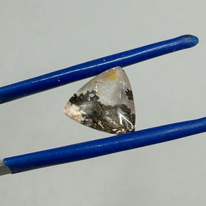5.08 Carat Dendritic Quartz Agate - Buffed Finish Triangle Cut