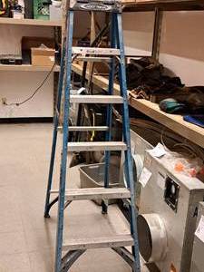 lot 236 image: Werner 250-lbs 6 Step Ladder
