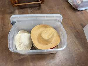lot 380 image: Tote of Hats