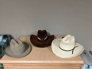 lot 284 image: Cowboy Hats