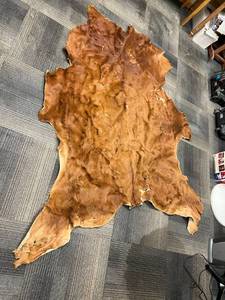 lot 538 image: Animal Hide