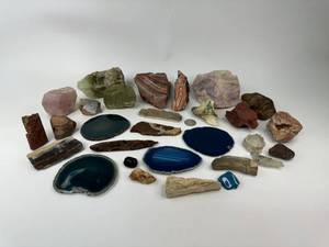 lot 54 image: Lot of Quartz Geode, Petrified Wood, Prasiolite, Amethyst, Rock Collection
