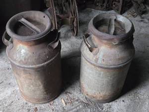 lot 443 image: Lot of 2 Cream Cans - See All Pics for Condition