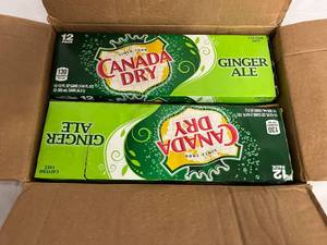 2 x 12 Packs of Canada Dry Ginger Ale