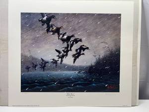 Les C. Kouba- Signed Numbered Print White Wind(Ring-necked or Ring-bill)-21.5 x 25.25