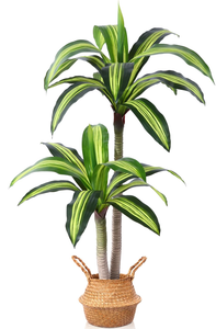 lot 215 image: Artificial Plants, Dracaena Tree Faux Plants Indoor Outdoor Decor Tree with Woven Seagrass Basket