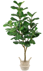lot 227 image: Artificial Fiddle Leaf Fig Tree, Tall Fake Fiddle Leaves Silk Plant with Woven Basket