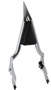 lot 256 image: Topteng 16inch Backrest Detachable Sissy Bar 2009-2023