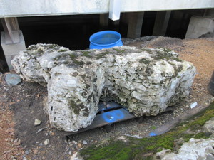 lot 708 image: WEATHERED LIMESTONE BOULDER