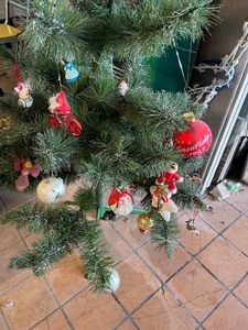 Christmas decor and skis