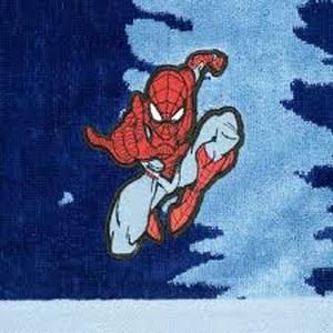 lot 1 image: Spider-Man Embroidered Beach Towel