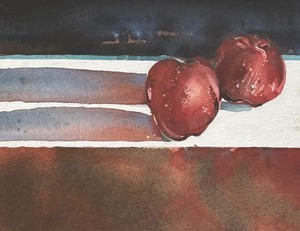 lot 250A image: Framed Print by Michael J. Plautz