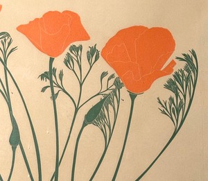 lot 279 image: Poppy Limited Edition Print