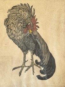lot 342 image: Vintage Rooster Etching