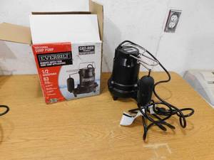 lot 30 image: Everbilt 12 HP Cast Iron Sump Pump