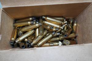 lot 107 image: 88 Empty .22-250 Casings