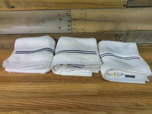lot 80E image: Lot of 3 Spa Plush Blue Stripe Threshold Hand Towels