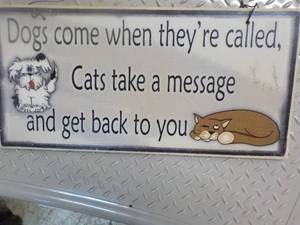 lot 121 image: Dogs and Cats sign 6 x 11