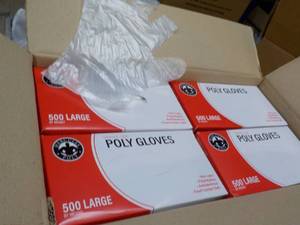 lot 239 image: Case of 10000 Polyethylene Gloves - size L