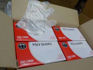 lot 240 image: Case of 10000 Polyethylene Gloves - size L