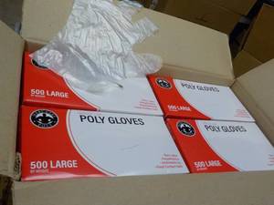 lot 242 image: Case of 10000 Polyethylene Gloves - size L