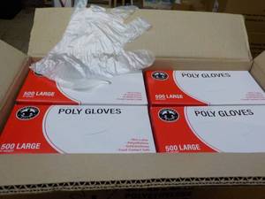 lot 244 image: Case of 10000 Polyethylene Gloves - size L