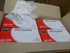 lot 245 image: Case of 10000 Polyethylene Gloves - size L