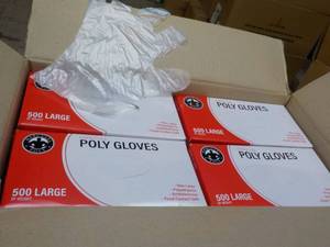 lot 246 image: Case of 10000 Polyethylene Gloves - size L