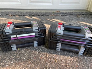 lot 190 image: Power Block Adjustable Weights