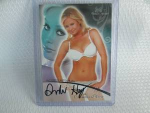 lot 138 image: 2007 Bench Warmer Amber Hay Autogra...