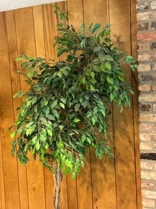 lot 81 image: Decorative Faux House Plant