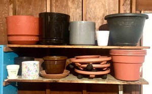 lot 119 image: Variety of Great Springtime Planting Pots