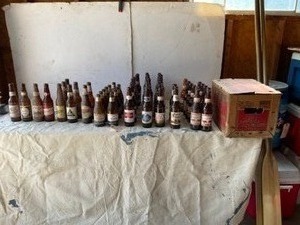 lot 345 image: Collection of Beer Bottles, Old Milwaukee, NorthStar, Buckhorn, Hamms, Havenstein, Cold Spring, Twins Hager